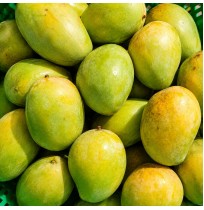 Mango - Japarta (3-4 days to ripen) 